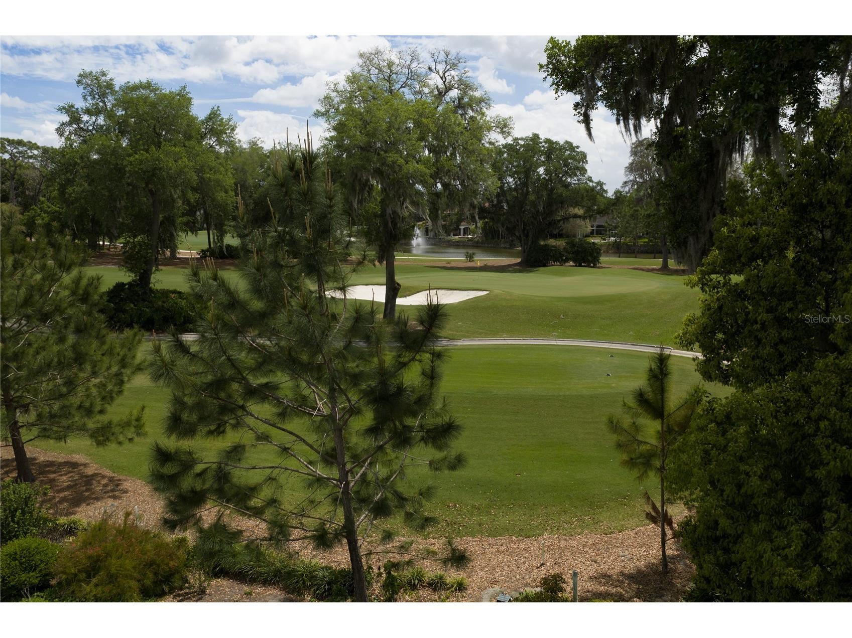 16912 Villalagos De Avila Lutz FL 33548 TB8492892 image16