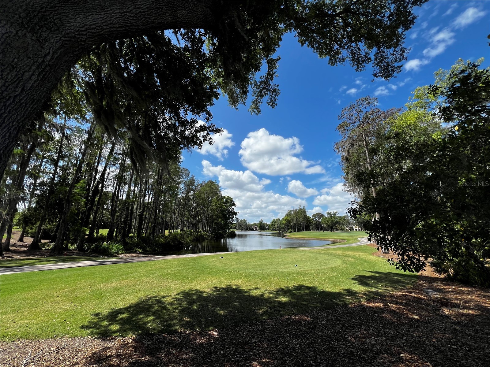 16912 Villalagos De Avila Lutz FL 33548 TB8492892 image2