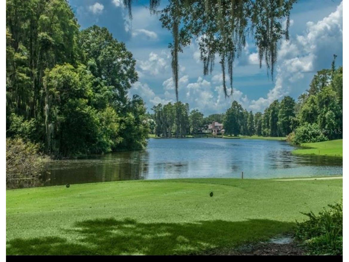 16912 Villalagos De Avila Lutz FL 33548 TB8492892 image4