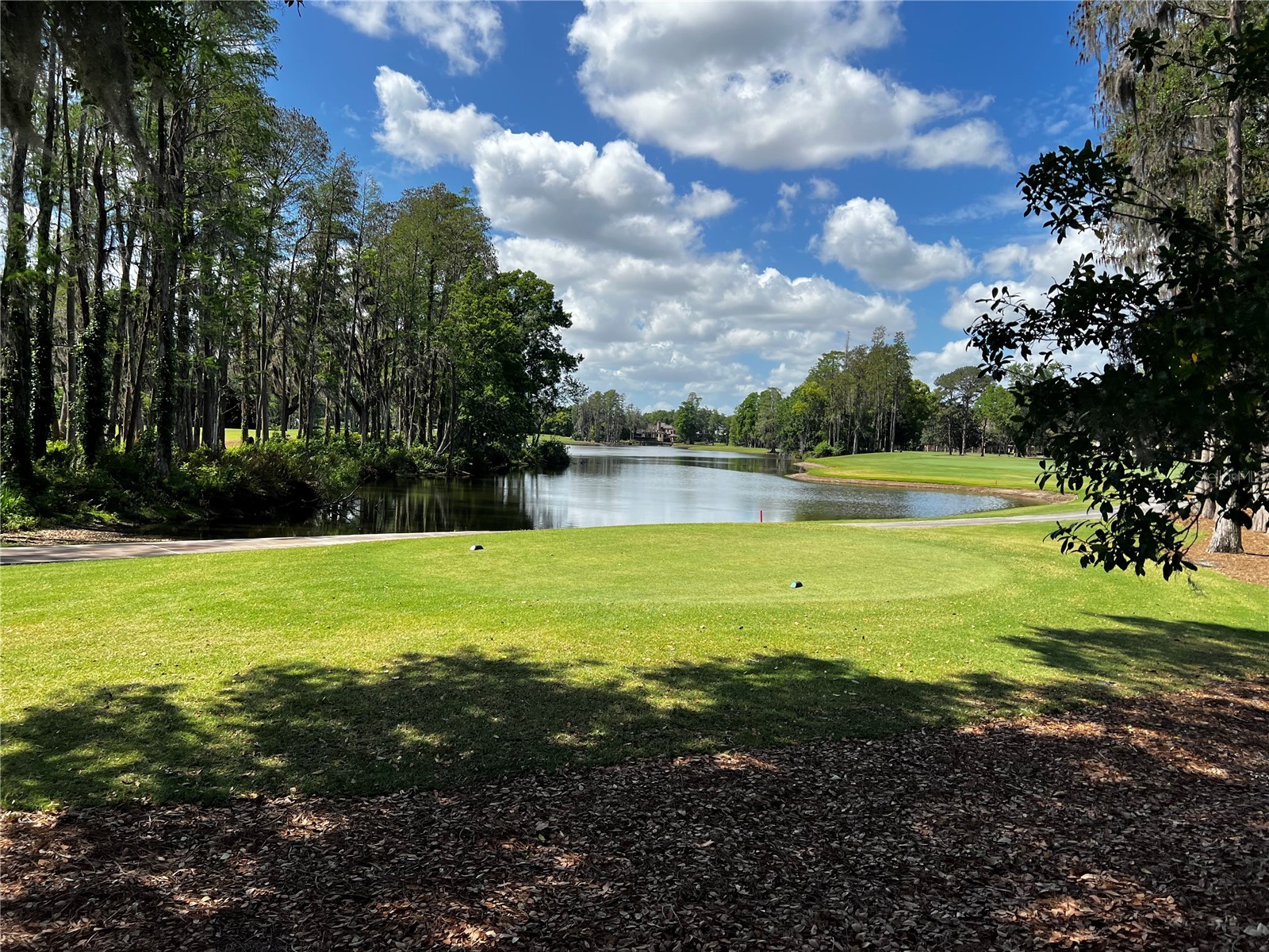 16912 Villalagos De Avila Lutz FL 33548 TB8492892 image8