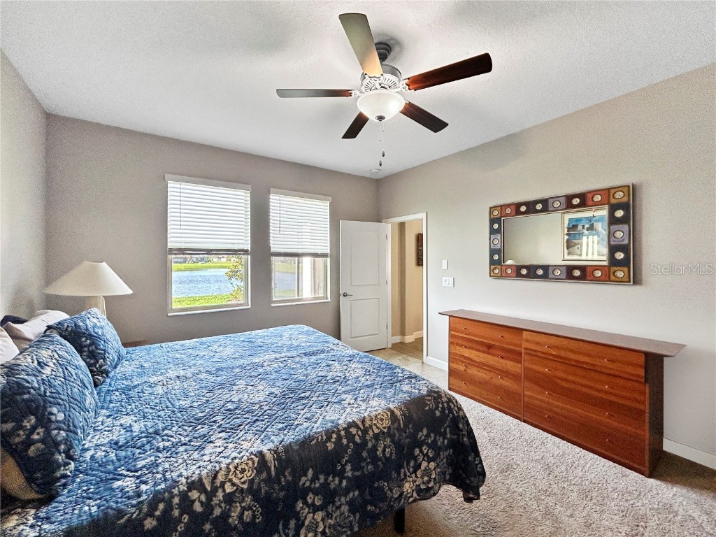 16913 Anchor Root Street Wimauma FL 33598 TB8387560 image14