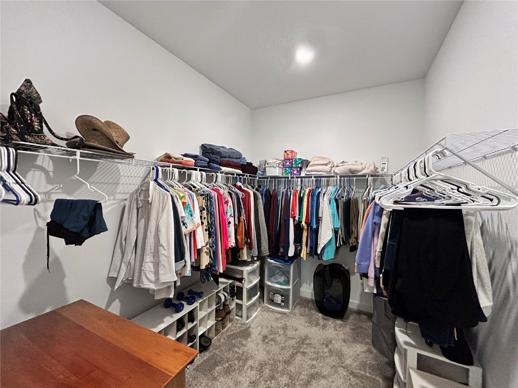 16913 Anchor Root Street Wimauma FL 33598 TB8387560 image17