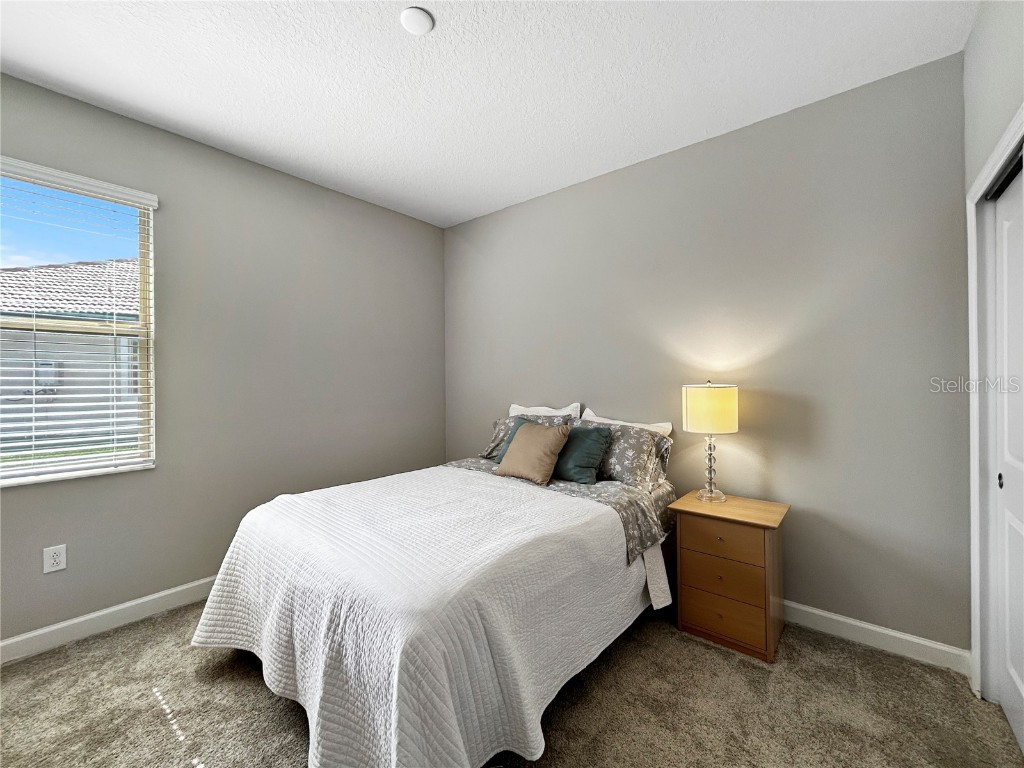 16913 Anchor Root Street Wimauma FL 33598 TB8387560 image18