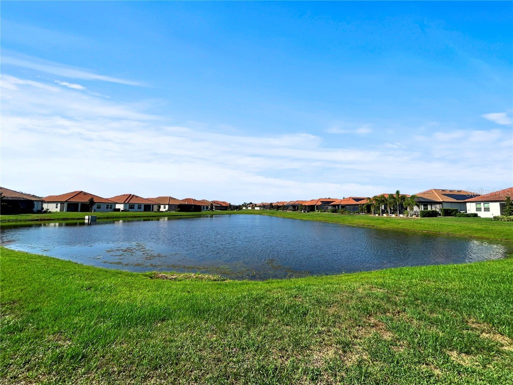 16913 Anchor Root Street Wimauma FL 33598 TB8387560 image24