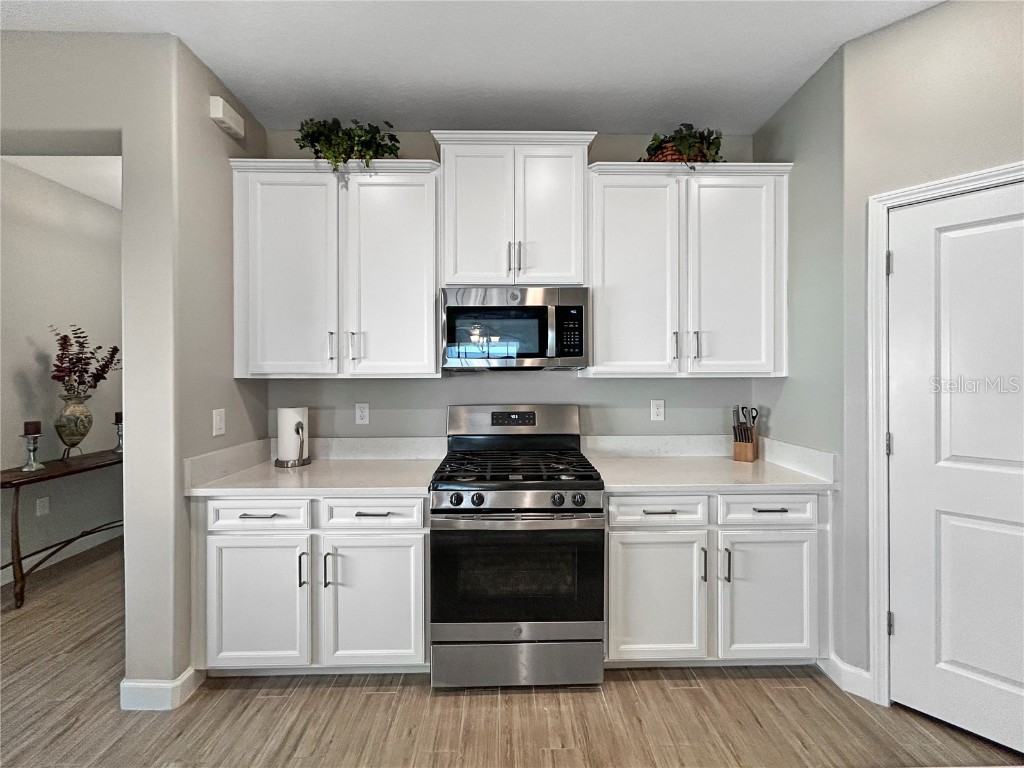 16913 Anchor Root Street Wimauma FL 33598 TB8387560 image6