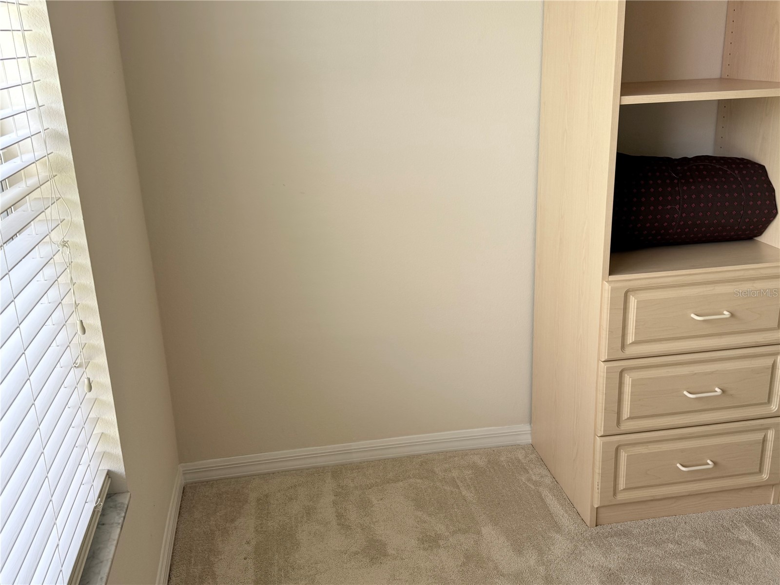 16913 SE 88th Trumbull Terrace The Villages FL 32162 G5109826 image12
