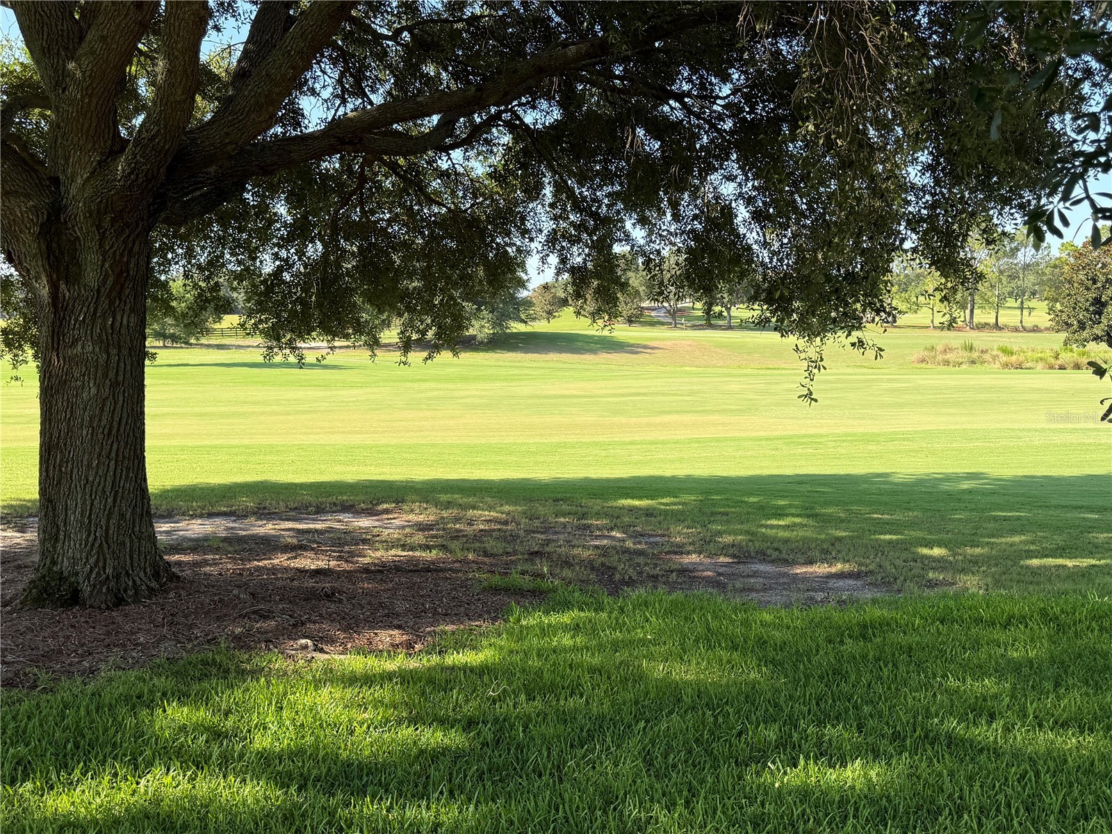 16913 SE 88th Trumbull Terrace The Villages FL 32162 G5109826 image35