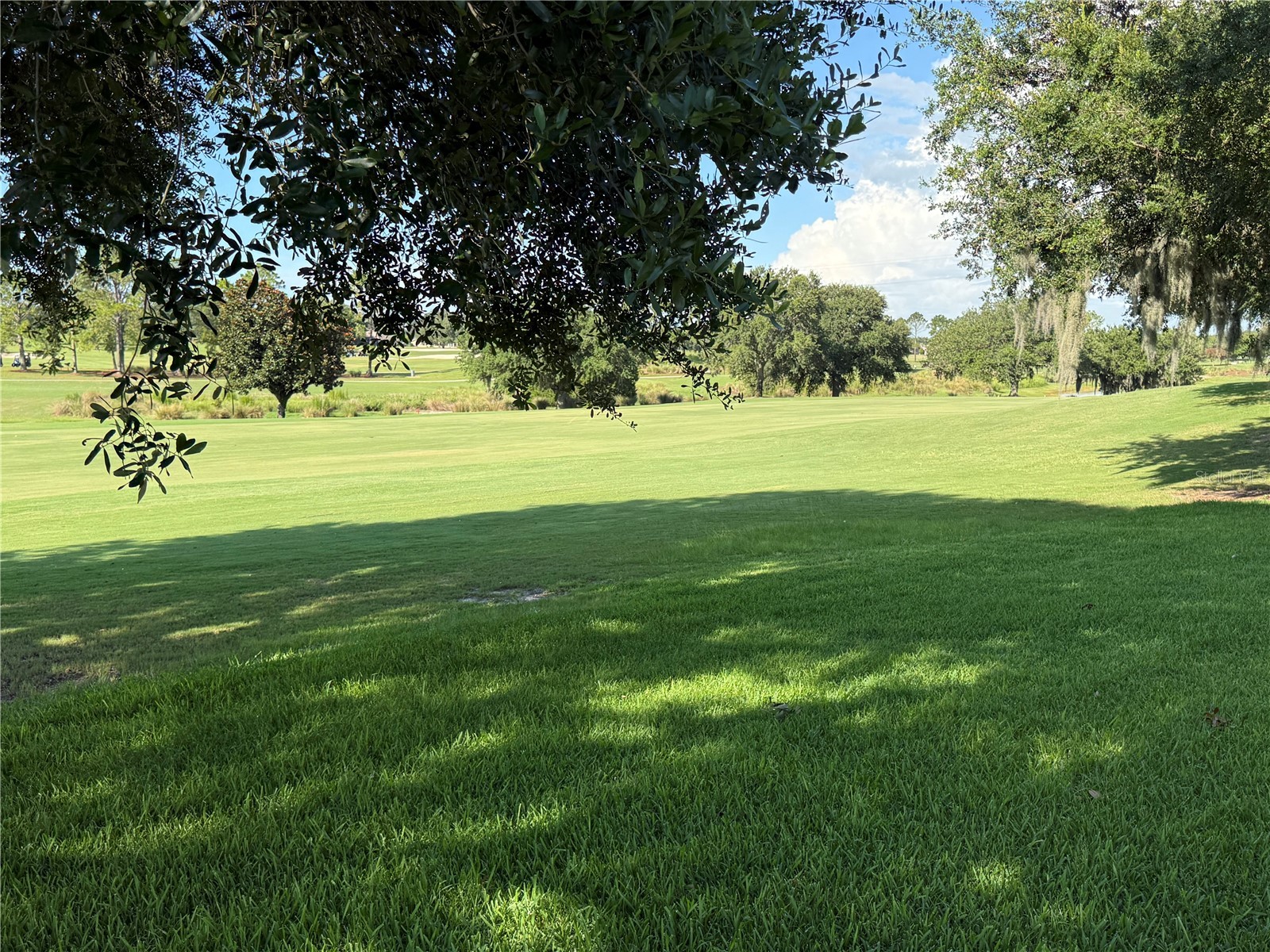 16913 SE 88th Trumbull Terrace The Villages FL 32162 G5109826 image36