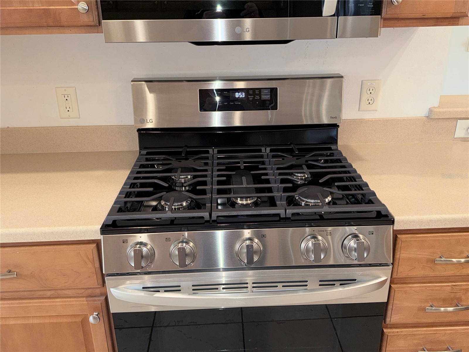 16913 SE 88th Trumbull Terrace The Villages FL 32162 G5109826 image6