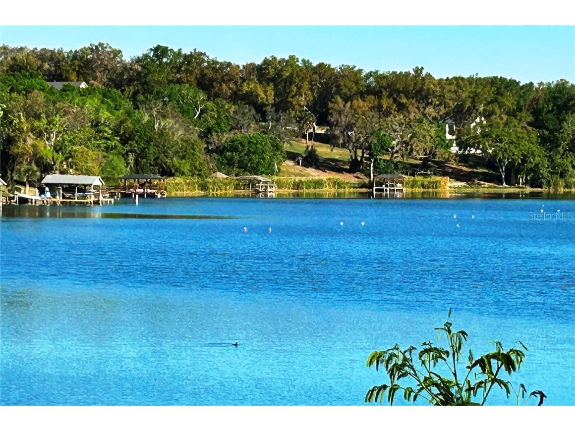 16915 Florence View Drive Montverde FL 34756 - LAKE FLORENCE O6288157 image5