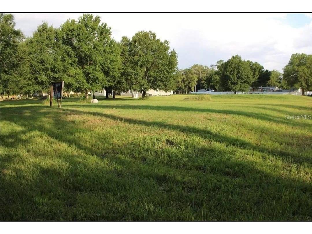 16915 Leclare Groves Way Lutz FL 33558 T3349504 image1