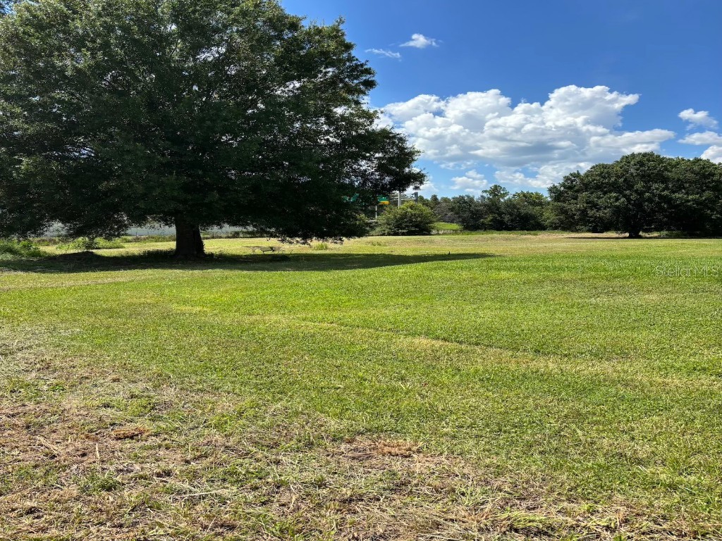 16915 Leclare Groves Way Lutz FL 33558 TB8420912 image1