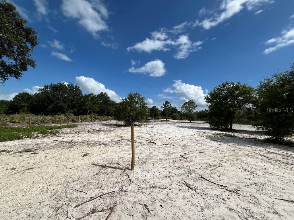 16916 NW 262nd Street Okeechobee FL 34972 OK224172 image2