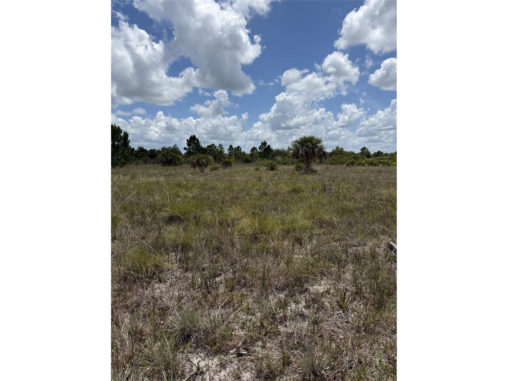 16916 NW 294th Street Okeechobee FL 34972 O6427233 image2