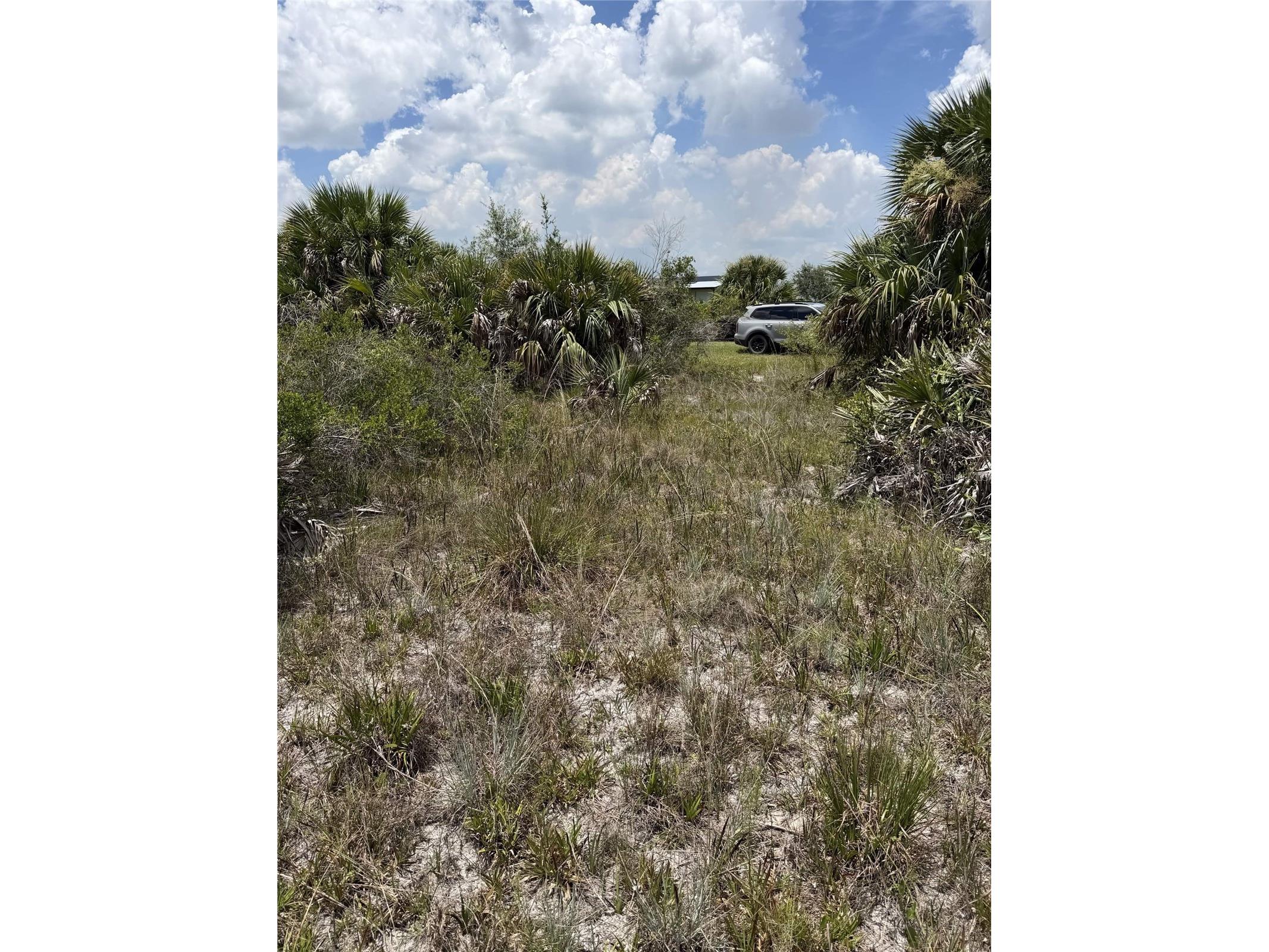 16916 NW 294th Street Okeechobee FL 34972 O6427233 image7