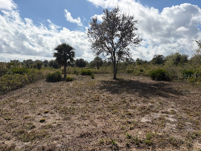 16918 NW 264th Street Okeechobee FL 34972 OK225694 image3