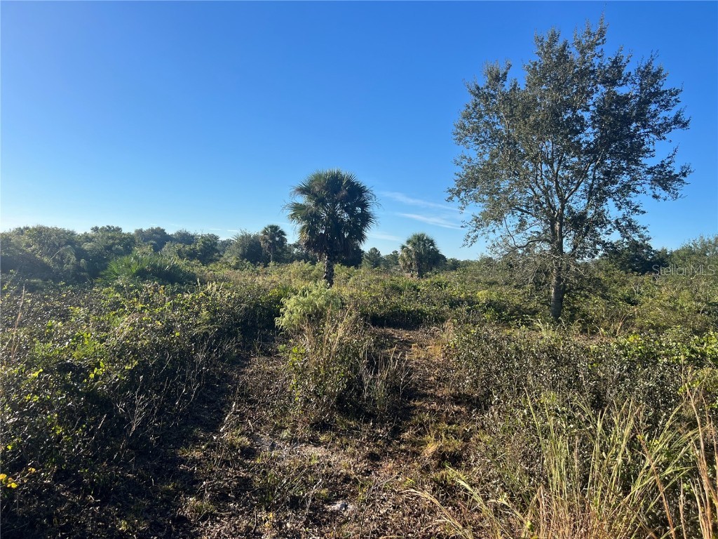 16918 NW 264th Street Okeechobee FL 34972 OK225694 image5