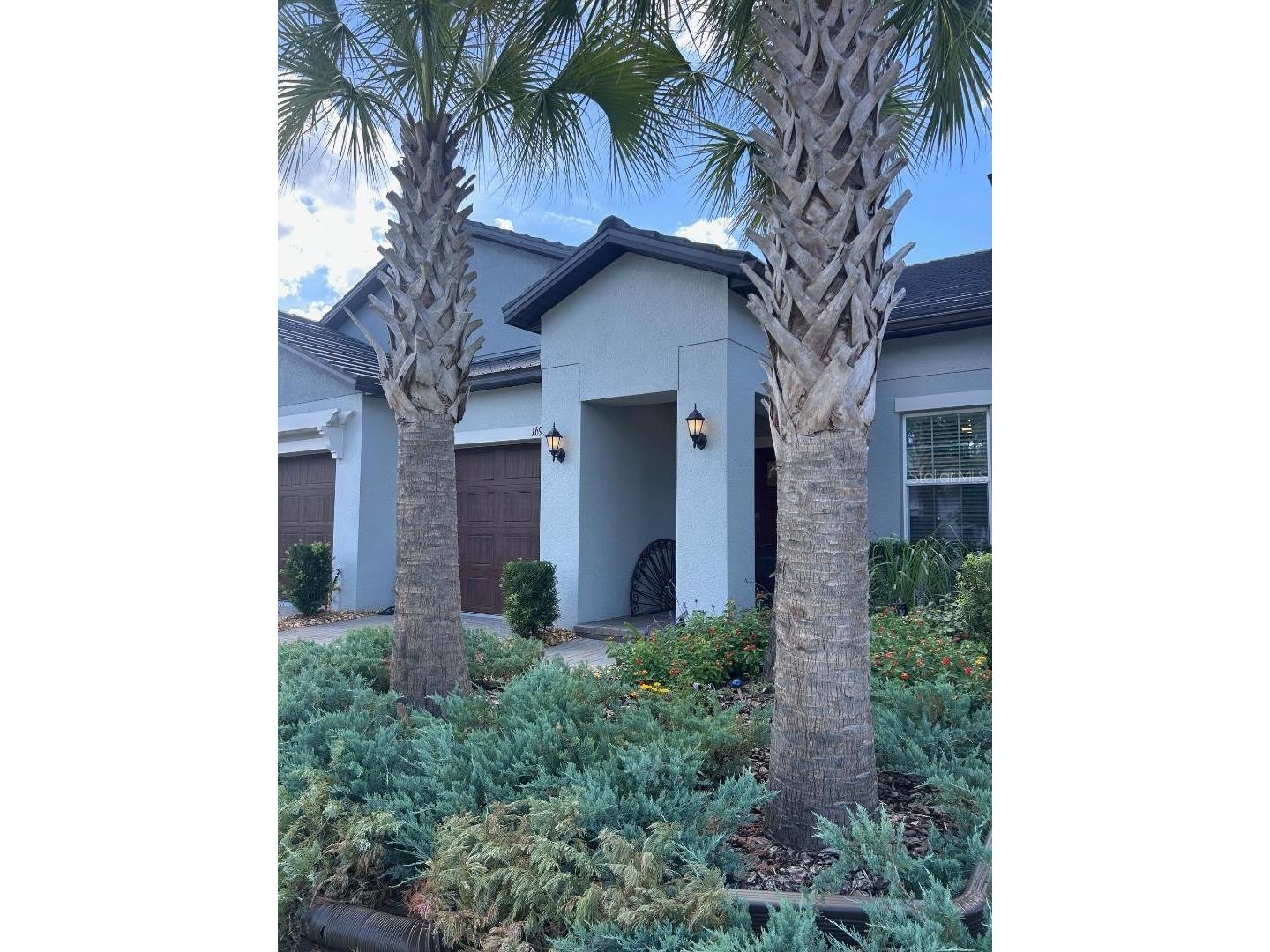 16919 Forge Surf Street Land O Lakes FL 34638 TB8514900 image1