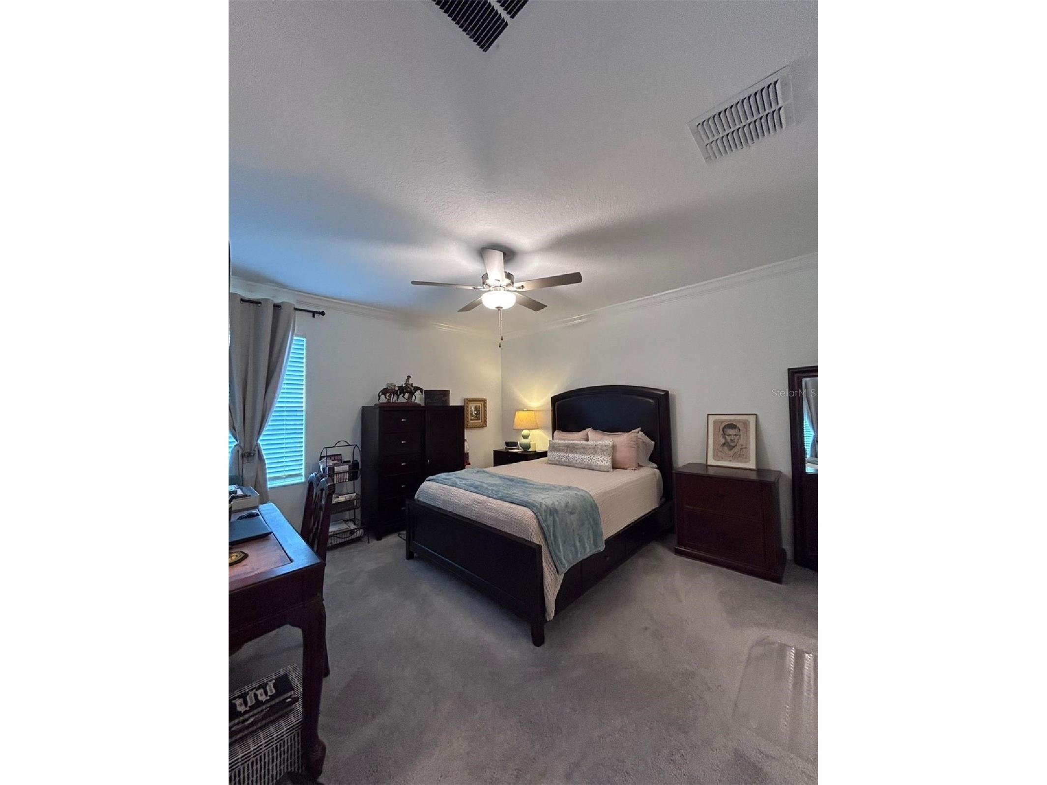 16919 Forge Surf Street Land O Lakes FL 34638 TB8514900 image16