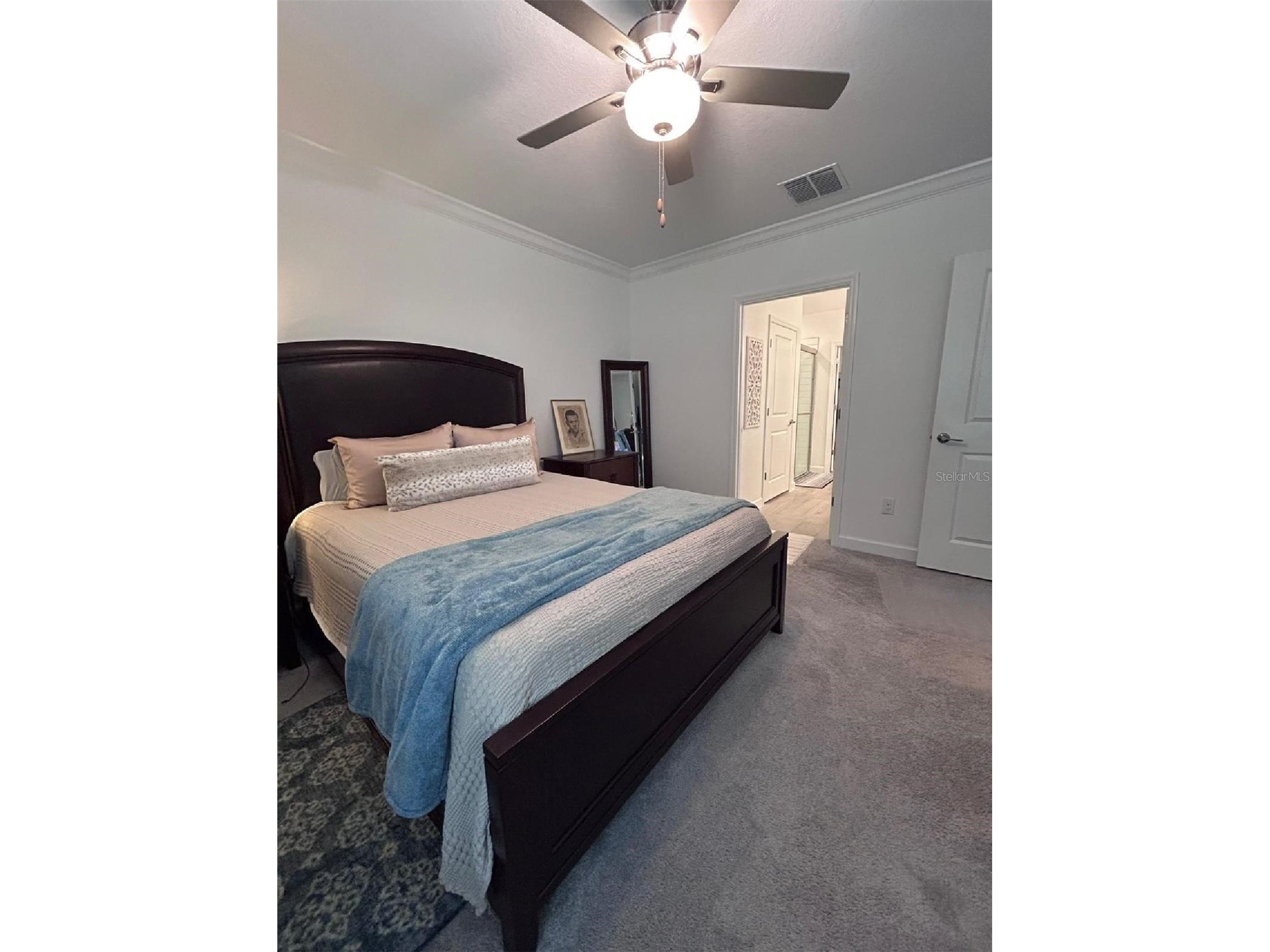 16919 Forge Surf Street Land O Lakes FL 34638 TB8514900 image17