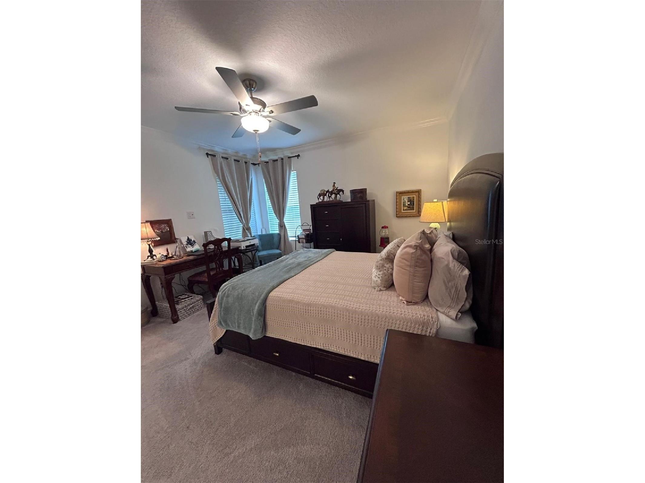 16919 Forge Surf Street Land O Lakes FL 34638 TB8514900 image18