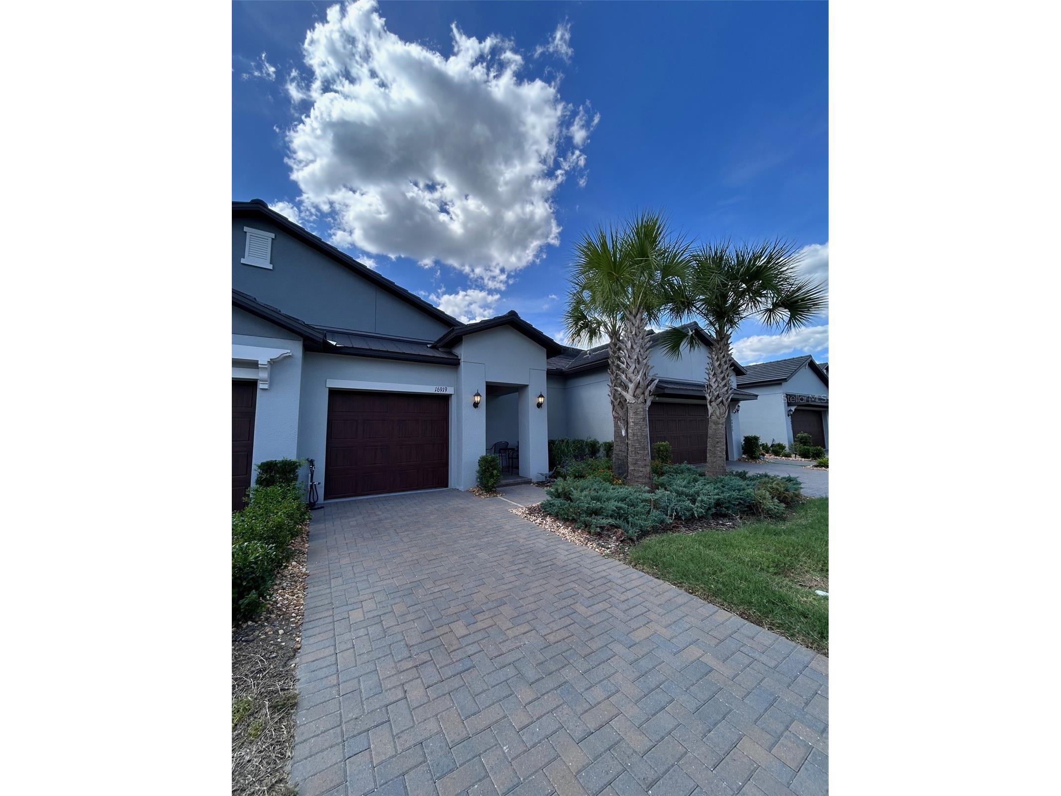 16919 Forge Surf Street Land O Lakes FL 34638 TB8514900 image2