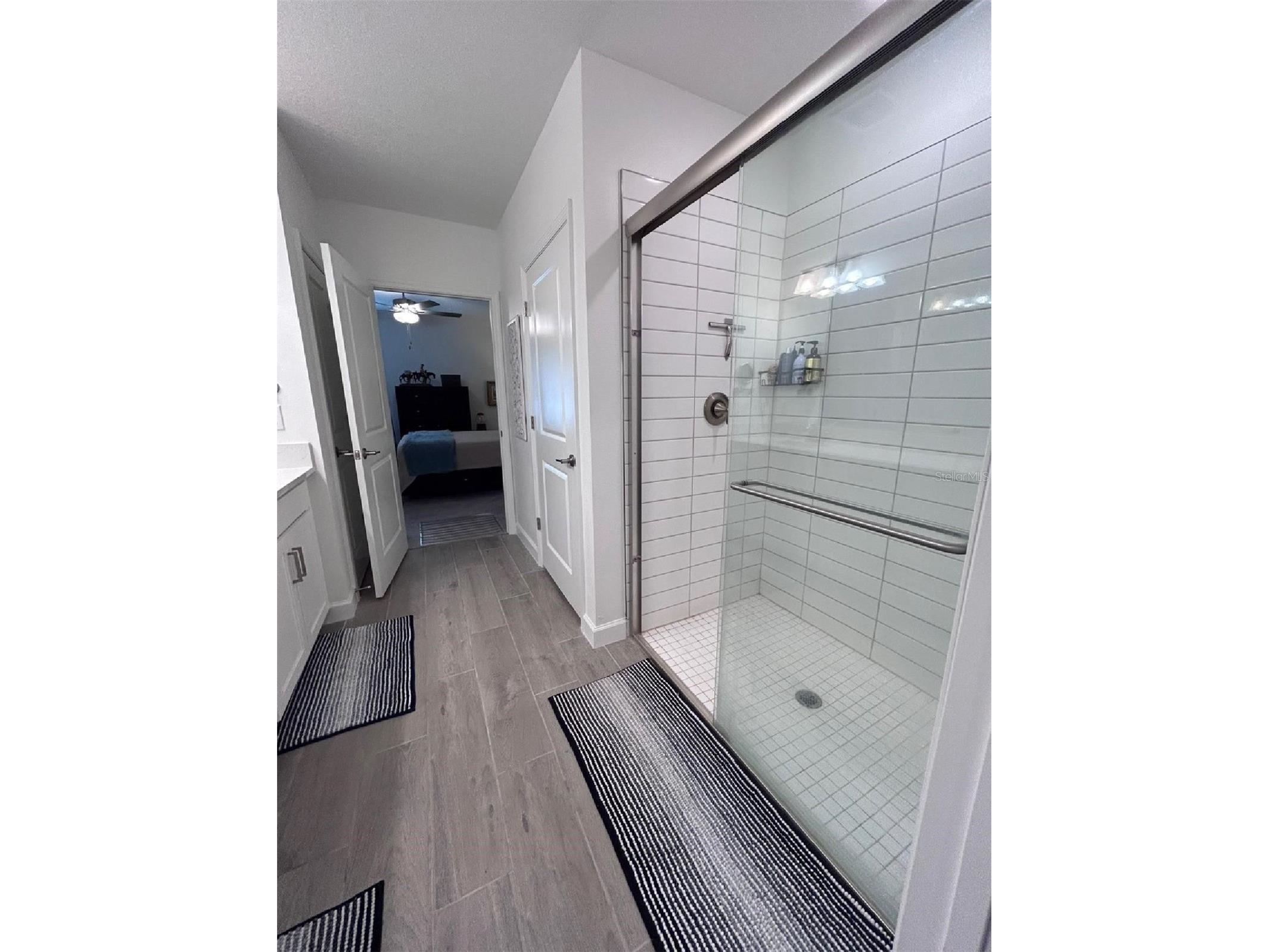 16919 Forge Surf Street Land O Lakes FL 34638 TB8514900 image21