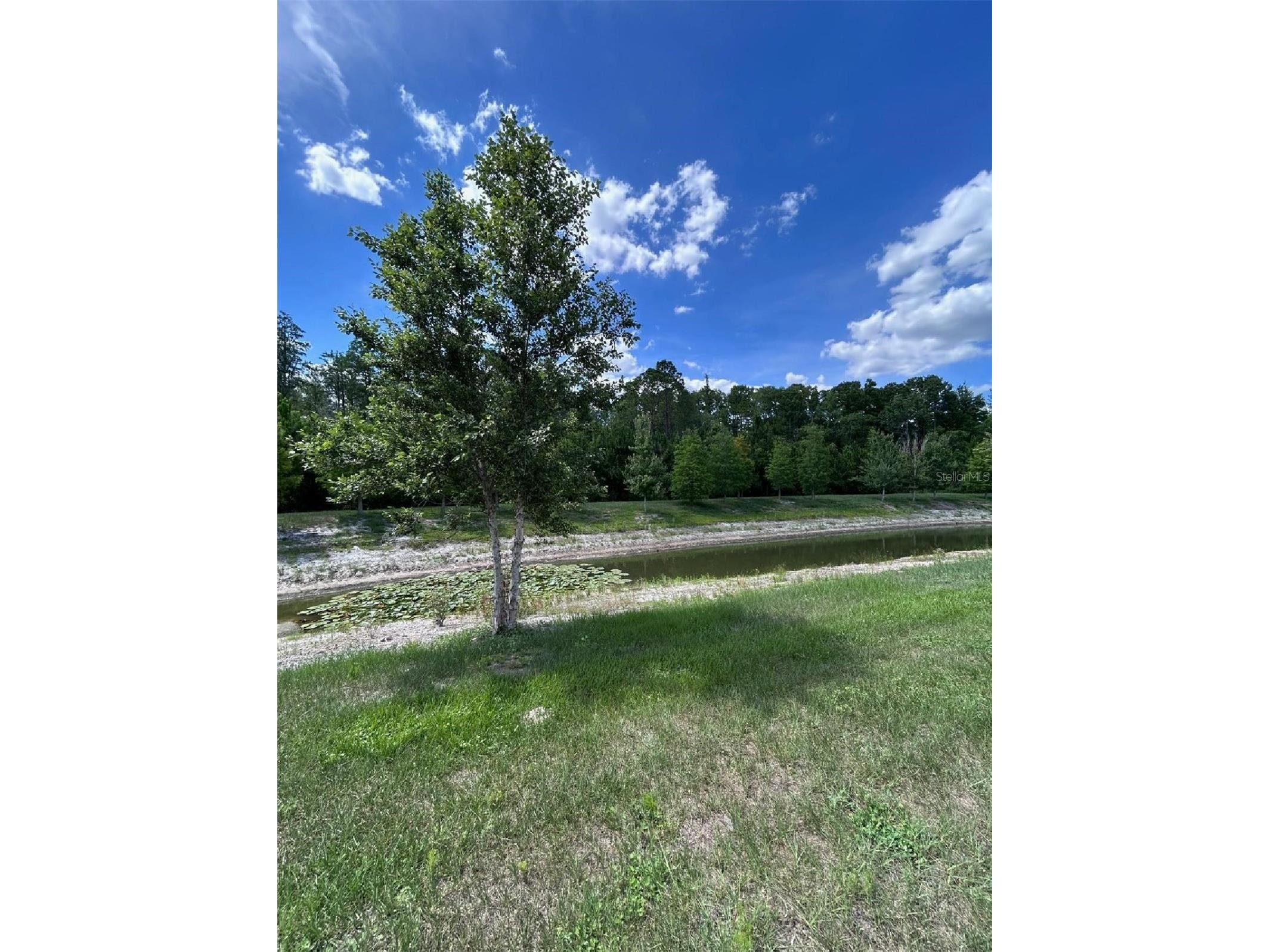16919 Forge Surf Street Land O Lakes FL 34638 TB8514900 image34