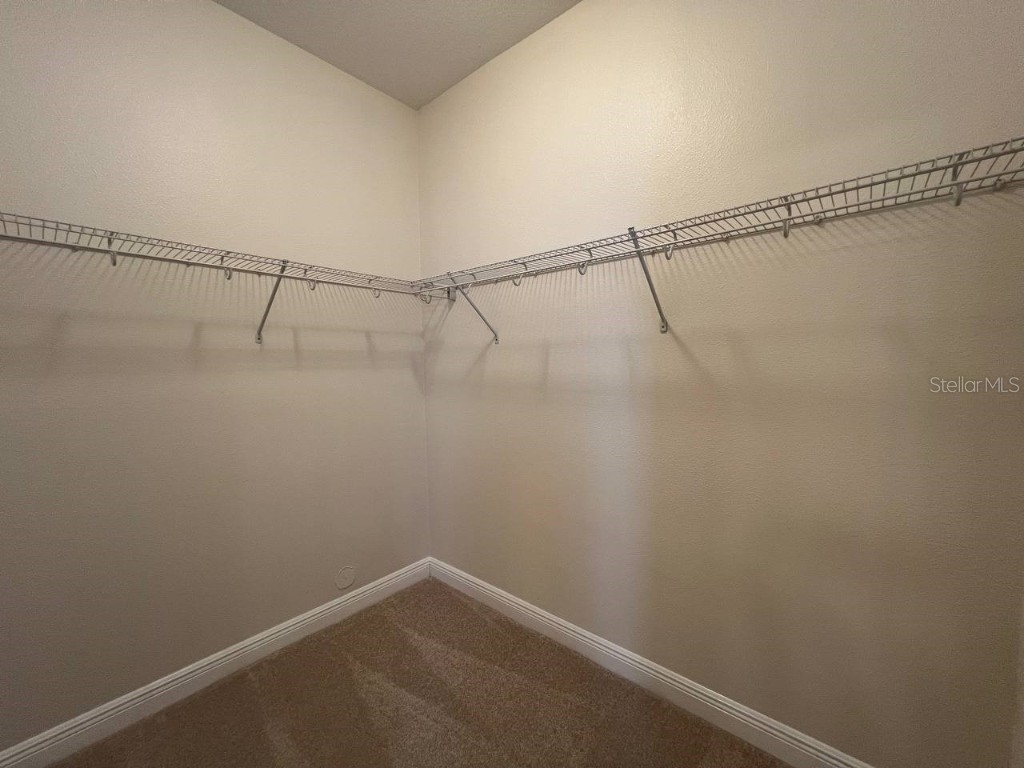 1692 Nature View Drive Lutz FL 33558 TB8453713 image21