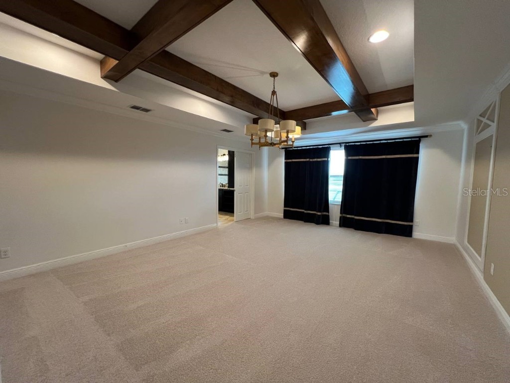 1692 Nature View Drive Lutz FL 33558 TB8453713 image23