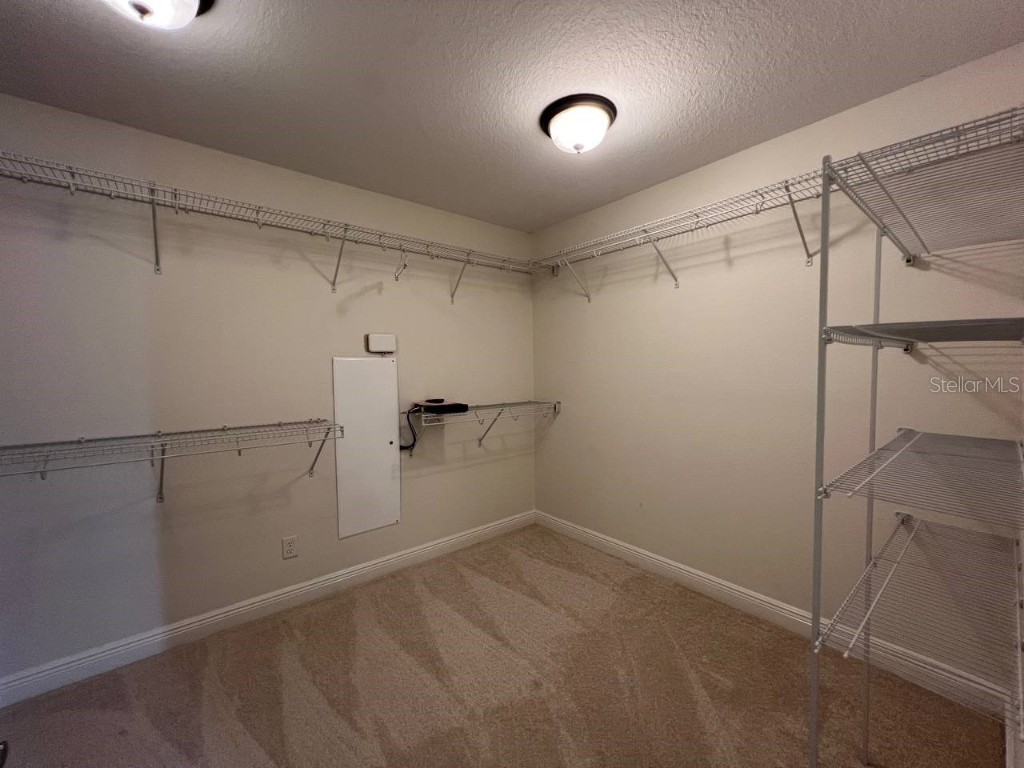 1692 Nature View Drive Lutz FL 33558 TB8453713 image28