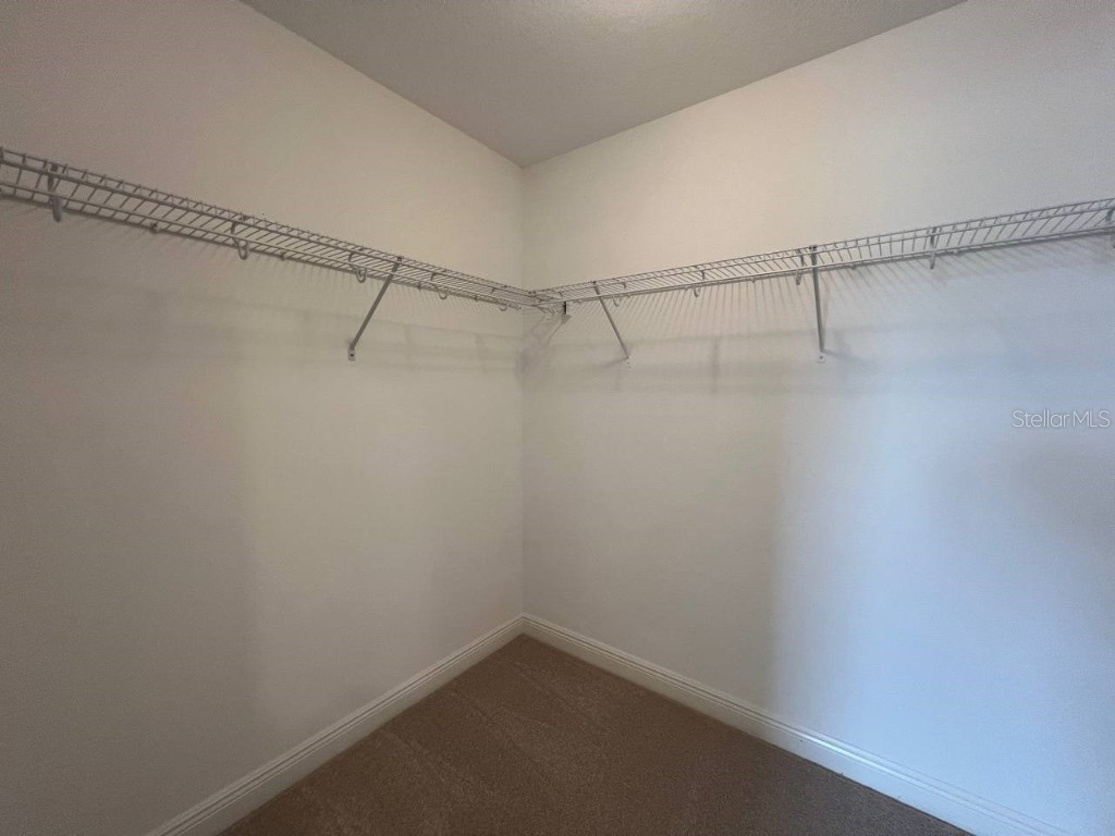 1692 Nature View Drive Lutz FL 33558 TB8453713 image32