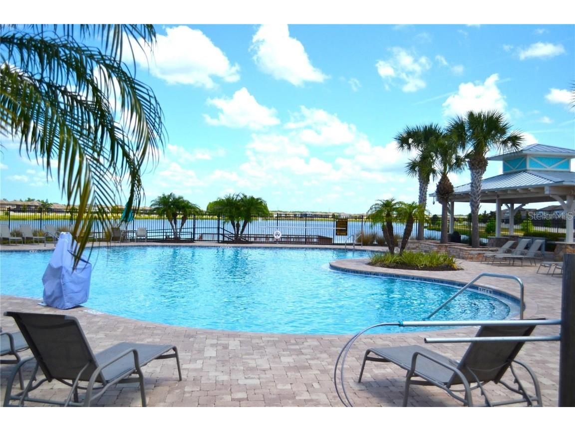 1692 Nature View Drive Lutz FL 33558 TB8453713 image49