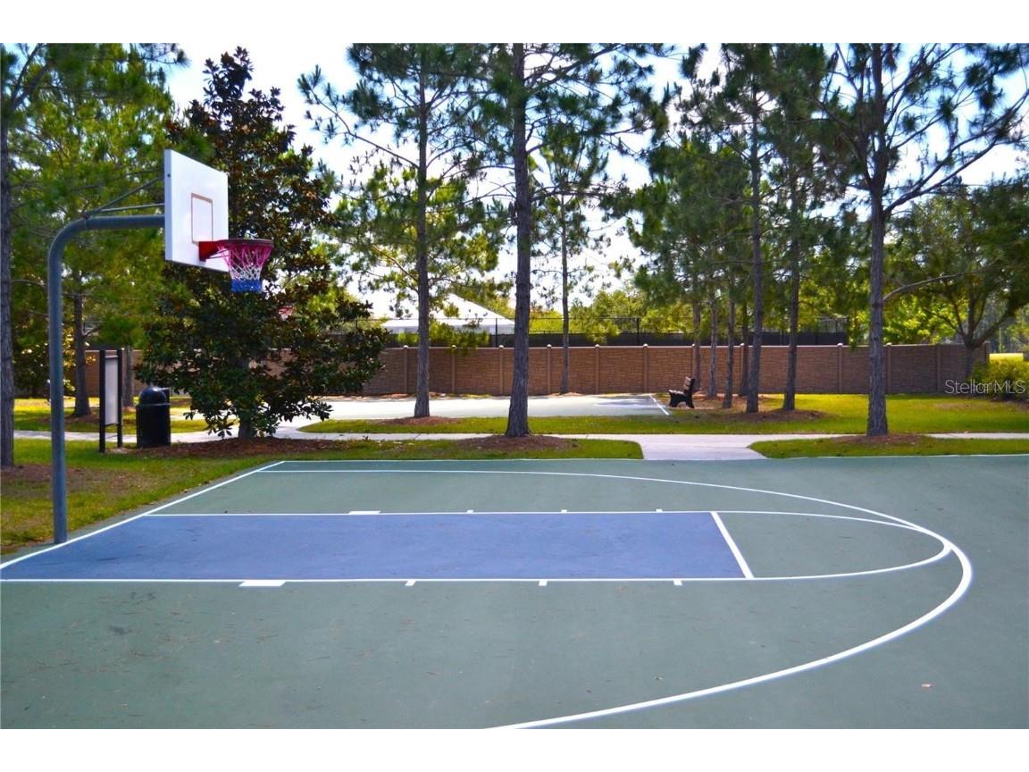 1692 Nature View Drive Lutz FL 33558 TB8453713 image52