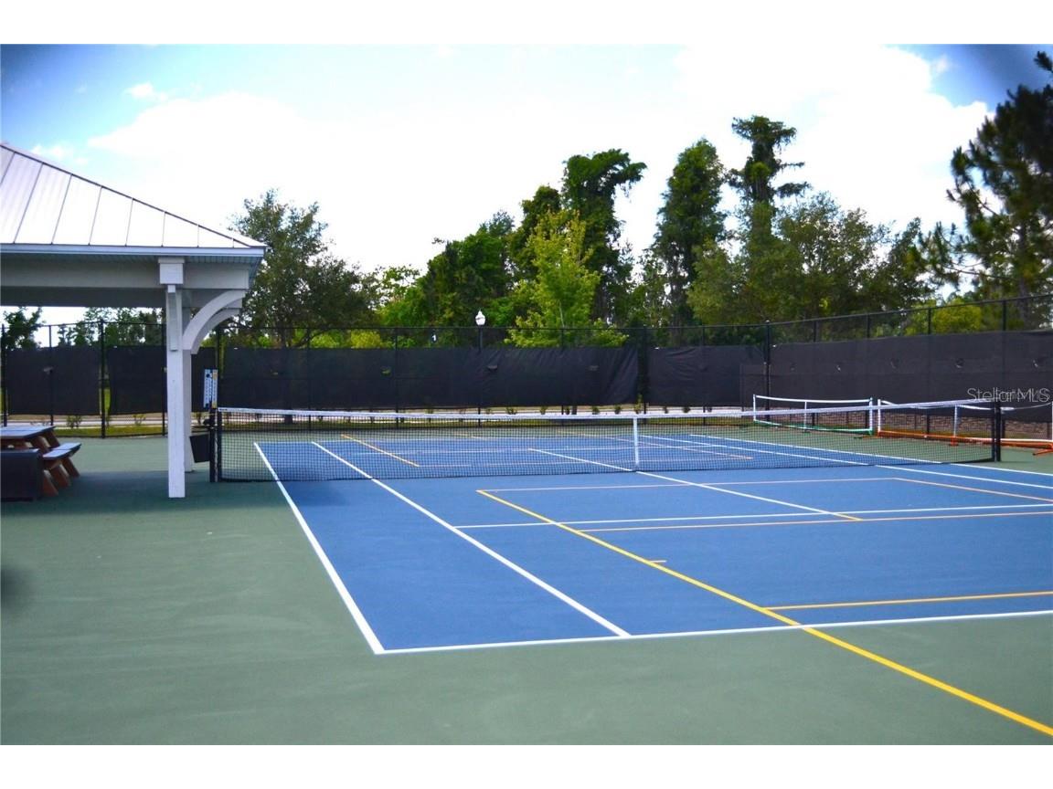 1692 Nature View Drive Lutz FL 33558 TB8453713 image53