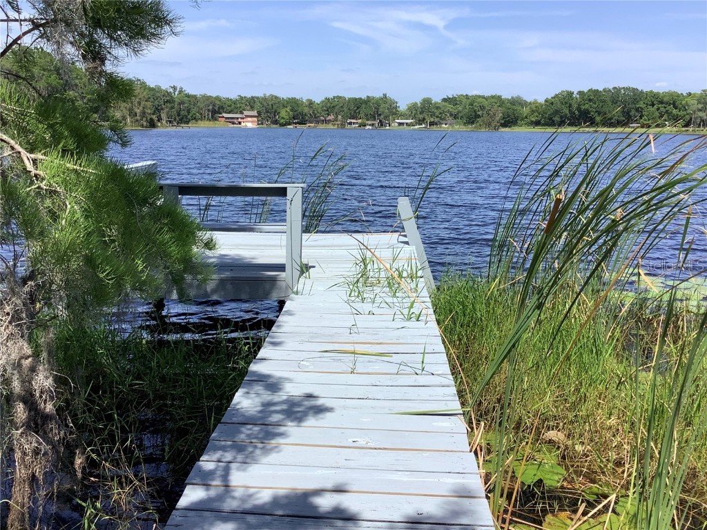 16921 Crawley Road Odessa FL 33556 - LAKE JUANITA TB8352345 image1