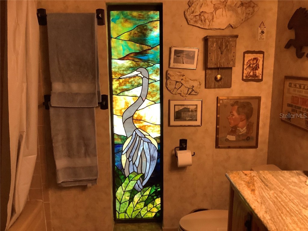 16921 Crawley Road Odessa FL 33556 - LAKE JUANITA TB8352345 image14