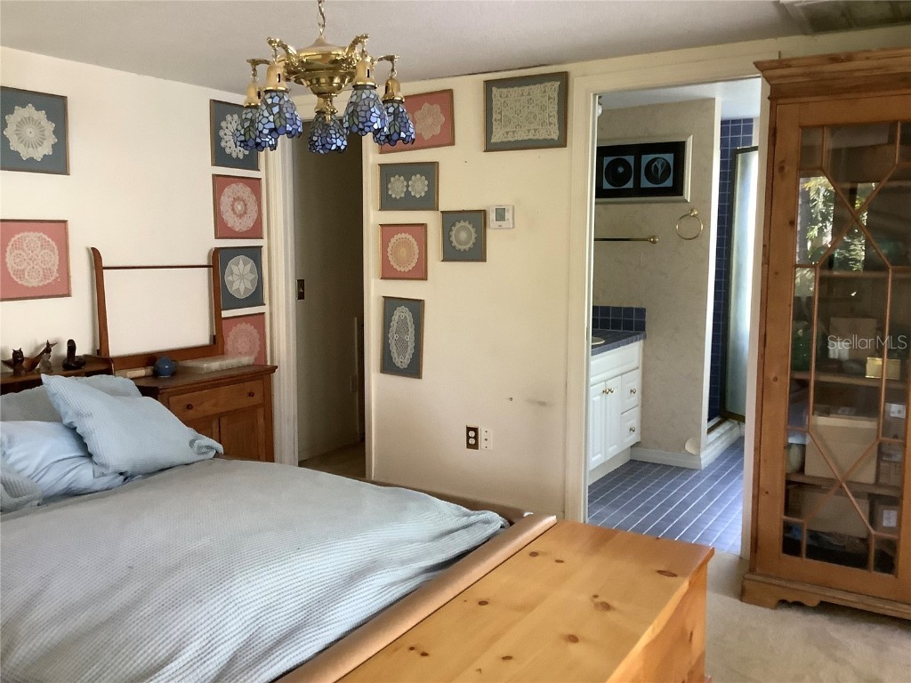 16921 Crawley Road Odessa FL 33556 - LAKE JUANITA TB8352345 image17