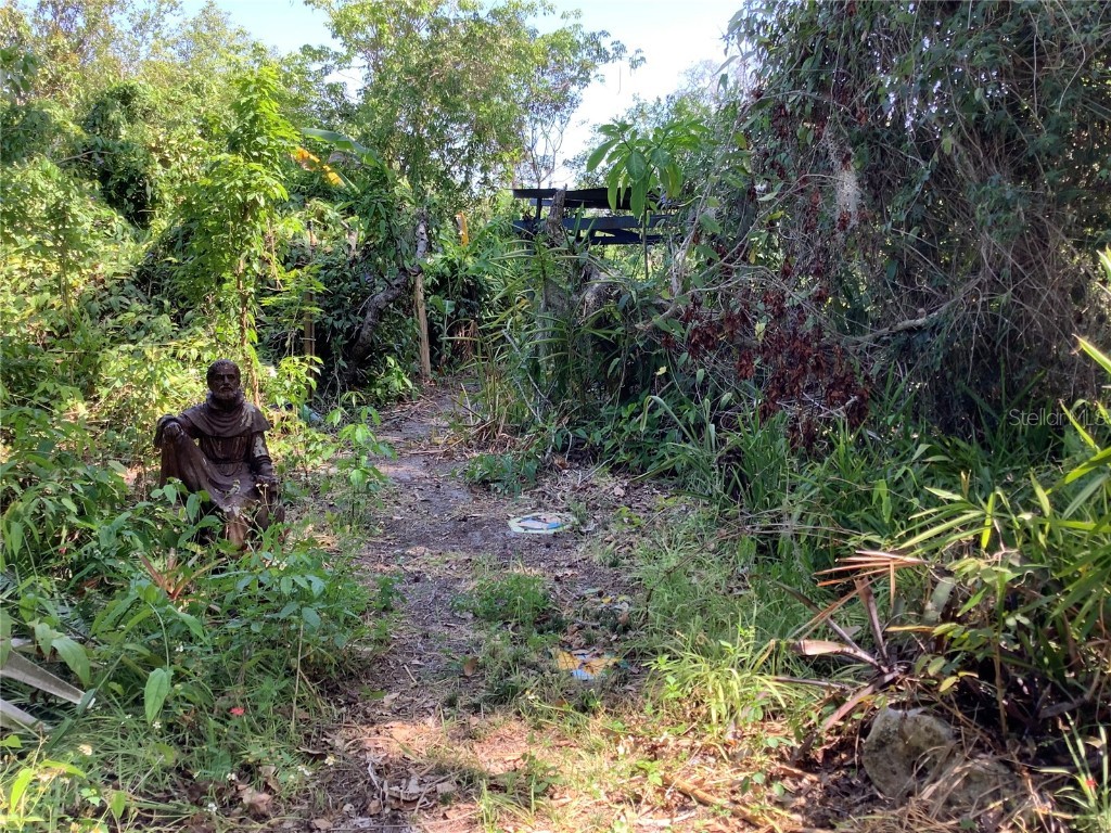 16921 Crawley Road Odessa FL 33556 - LAKE JUANITA TB8352345 image26