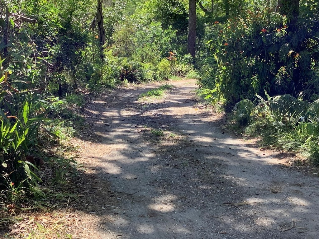 16921 Crawley Road Odessa FL 33556 - LAKE JUANITA TB8352345 image28