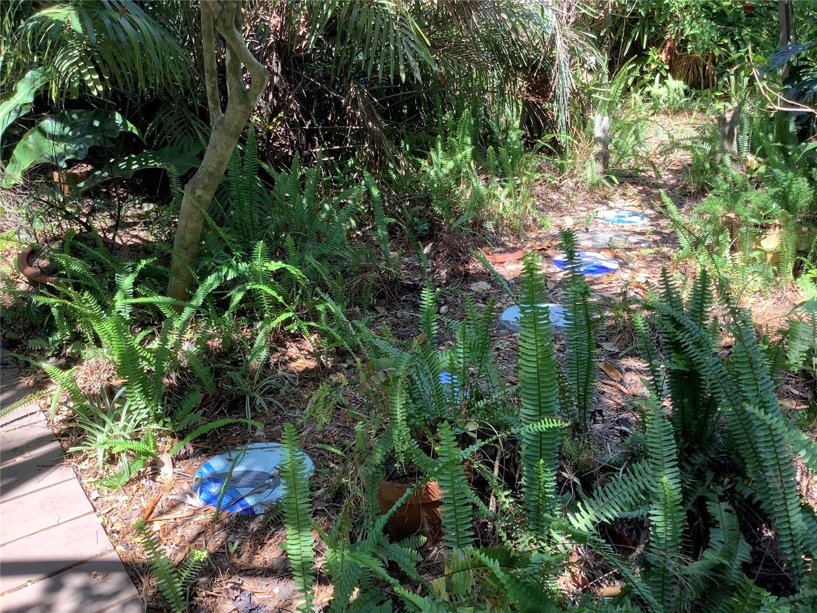 16921 Crawley Road Odessa FL 33556 - LAKE JUANITA TB8352345 image47