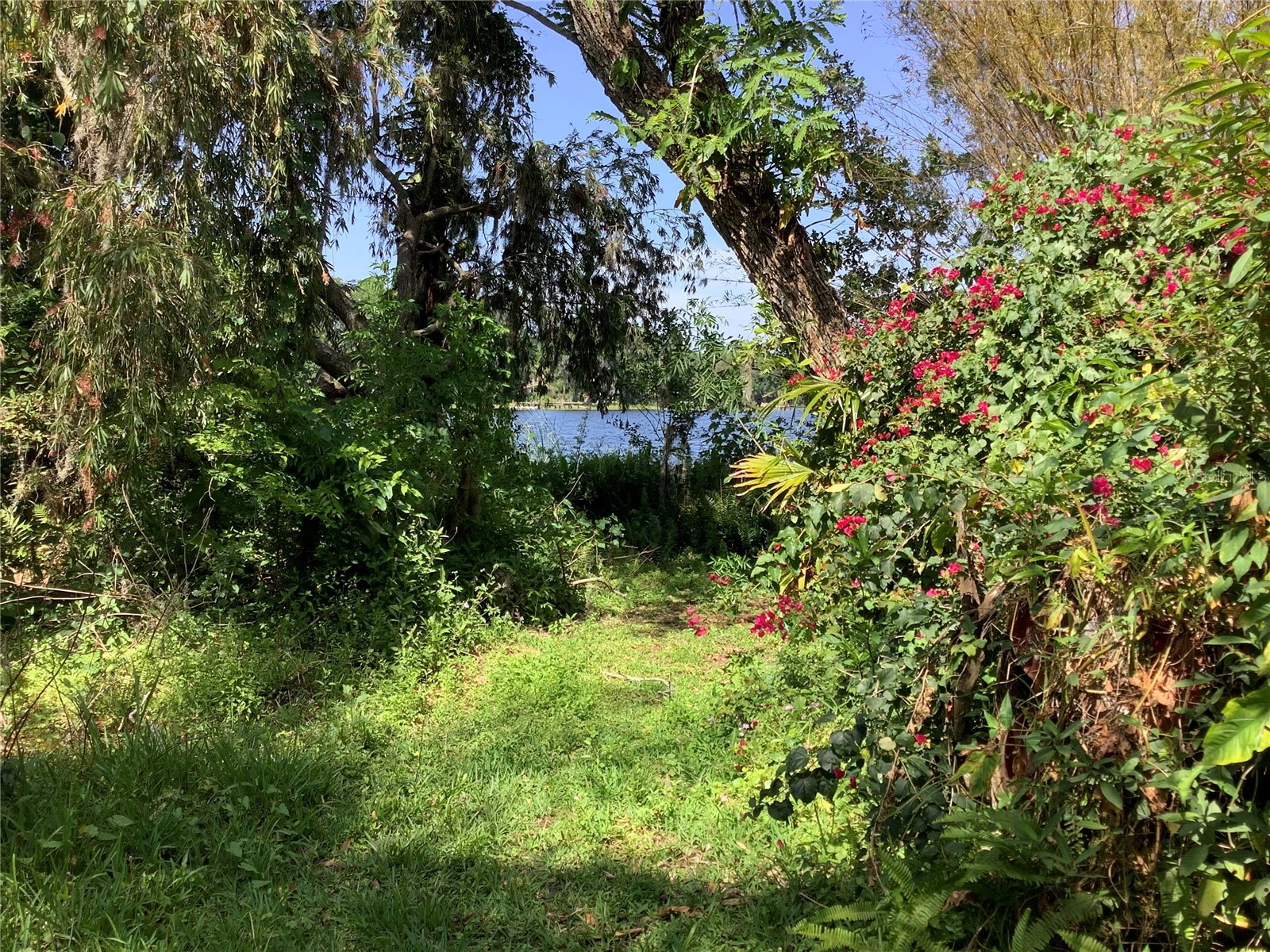 16921 Crawley Road Odessa FL 33556 - LAKE JUANITA TB8352345 image50