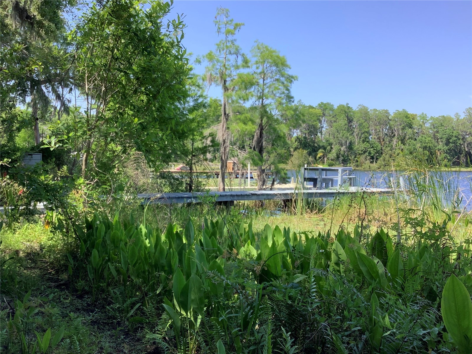 16921 Crawley Road Odessa FL 33556 - LAKE JUANITA TB8352345 image51