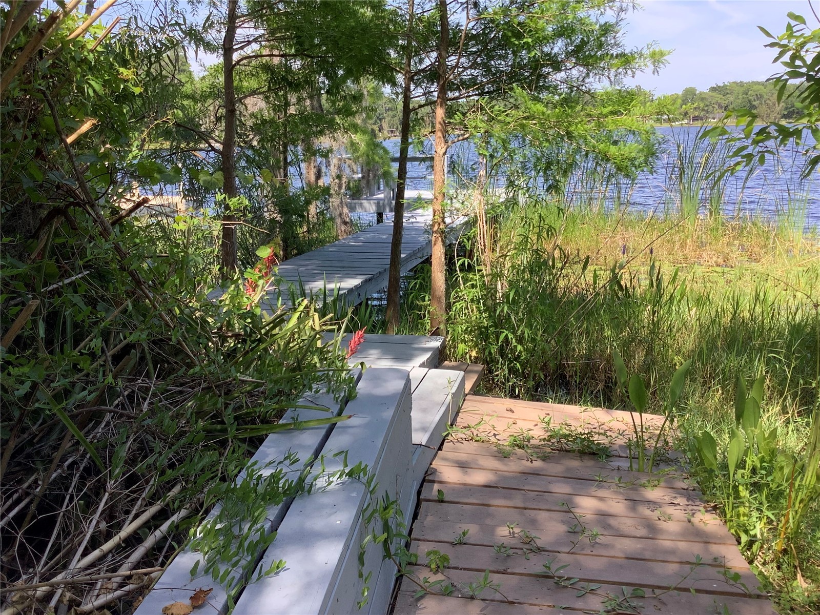 16921 Crawley Road Odessa FL 33556 - LAKE JUANITA TB8352345 image52