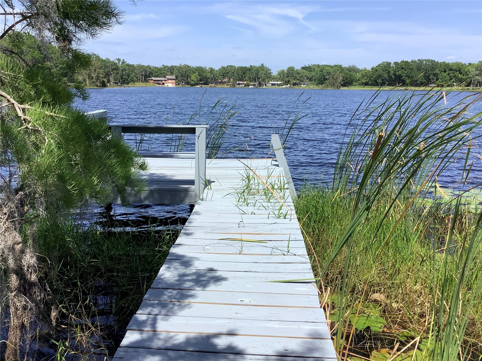 16921 Crawley Road Odessa FL 33556 - LAKE JUANITA TB8352345 image53
