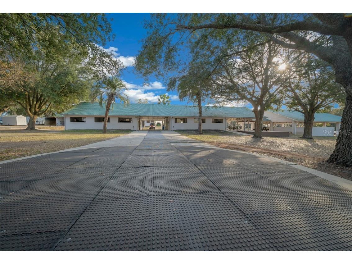 16921 SE 19th Court Summerfield FL 34491 OM693699 image11