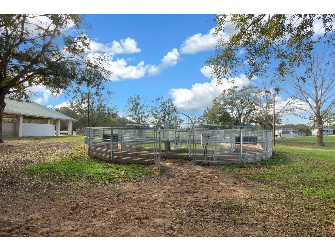 16921 SE 19th Court Summerfield FL 34491 OM693699 image13