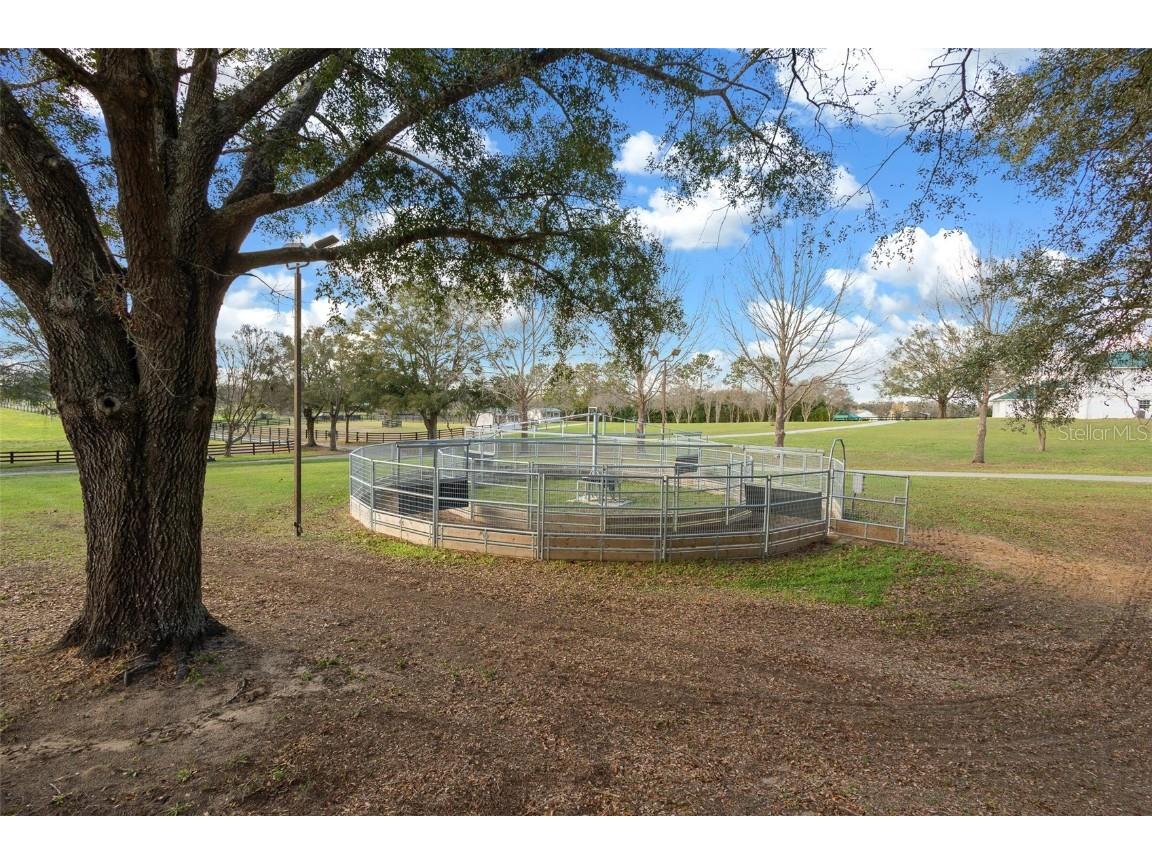 16921 SE 19th Court Summerfield FL 34491 OM693699 image14
