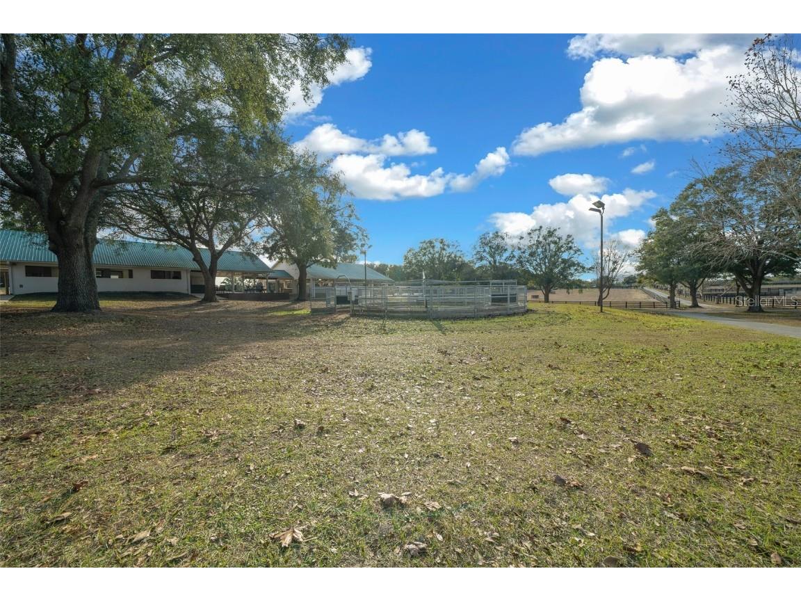16921 SE 19th Court Summerfield FL 34491 OM693699 image33