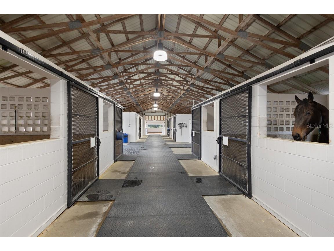 16921 SE 19th Court Summerfield FL 34491 OM693699 image4